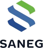 Логотип SANEG
